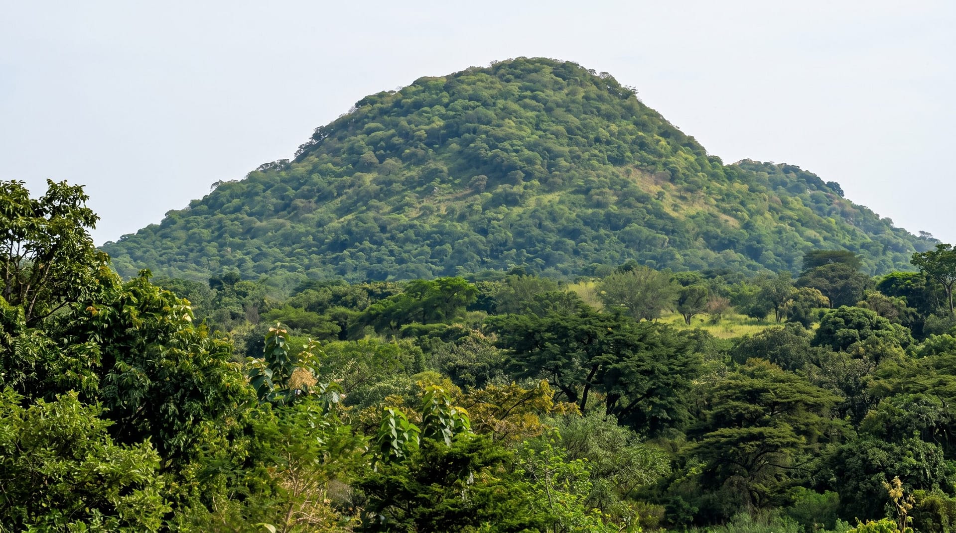 Reconnecting Northern Uganda: Latanya Tower Upgraded with ISOC Foundation Support